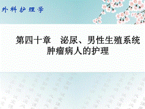 第四十章泌尿男性生殖系统肿瘤病人的护理.ppt