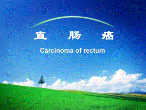 医院直肠癌.ppt