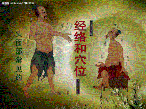 头面部穴位.ppt.ppt