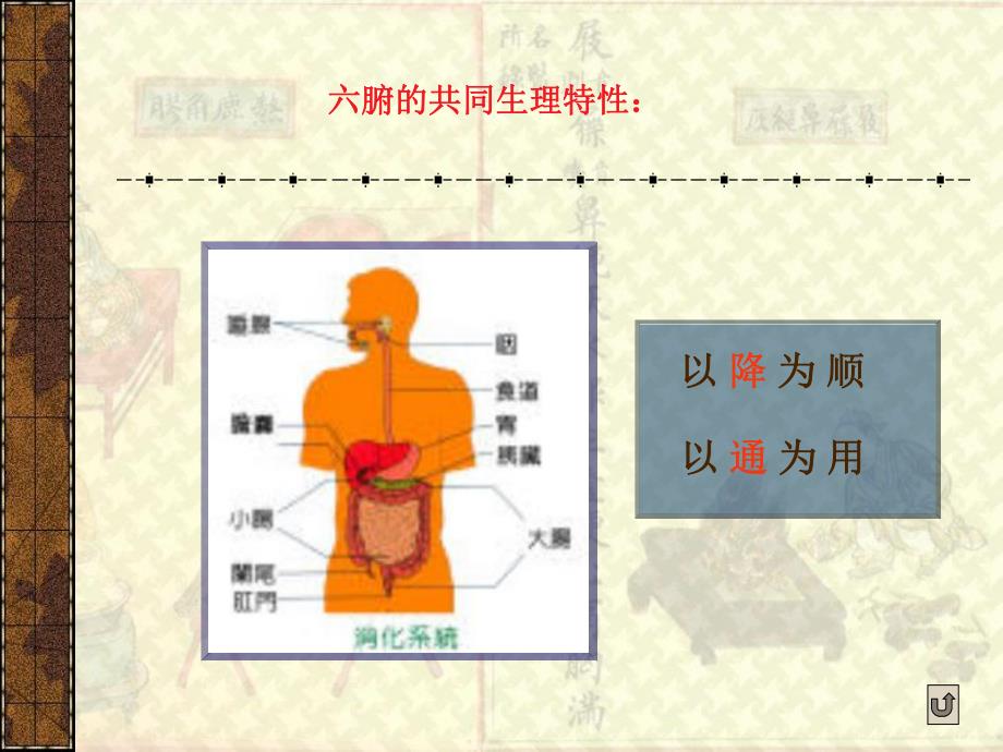 中医第8节六腑.ppt_第3页