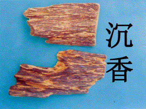 沉香的鉴定.ppt