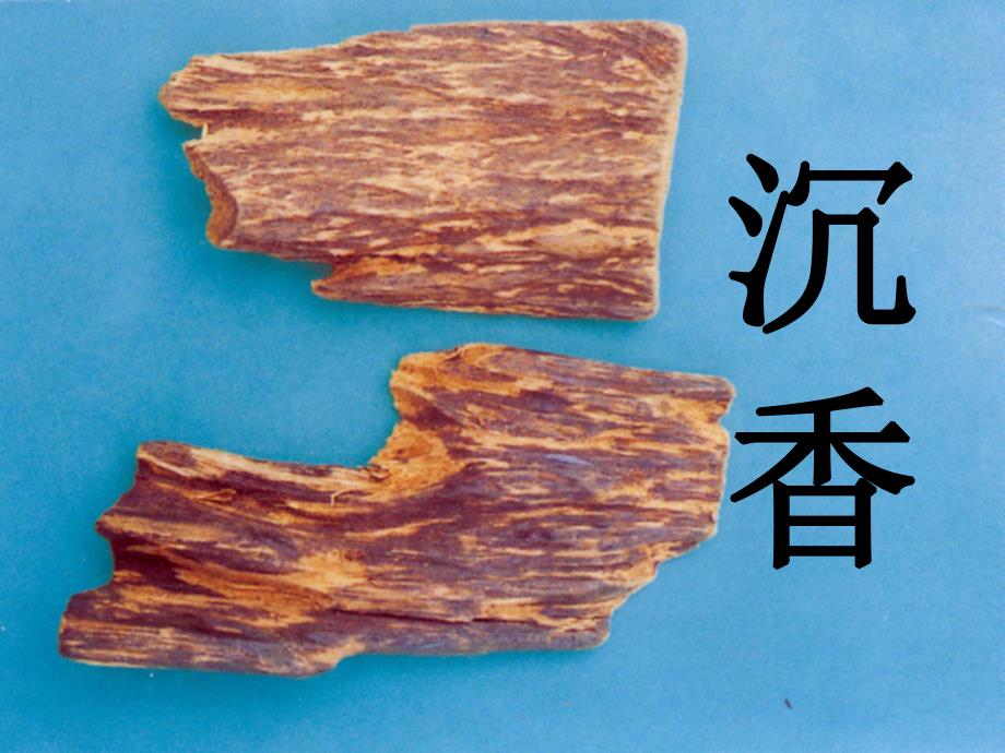 沉香的鉴定.ppt_第1页