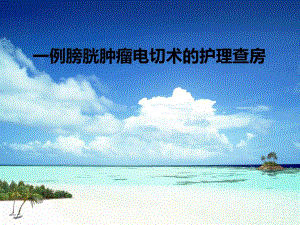 一例膀胱肿瘤电切术的护理查房.ppt