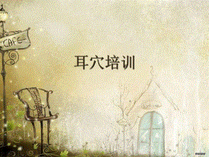 中医适宜技术耳穴培训.ppt