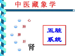 中医基础七肾.ppt
