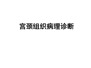 宫颈组织病理诊断.ppt