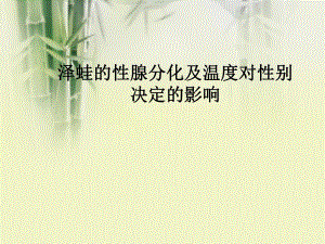 泽蛙的性腺分化及温度对性别决定的影响.ppt