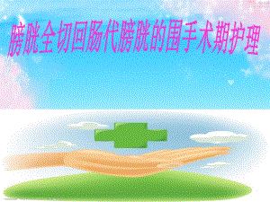 膀胱肿瘤行膀胱全切回肠代膀胱围手术护理.ppt