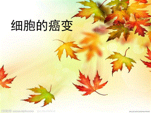 ppt细胞的癌变.ppt