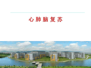 [临床医学]心肺脑复苏急诊.ppt