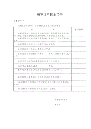 被审计单位承诺书.docx