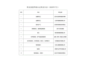 职业技能等级认定职业目录2020年7月.docx