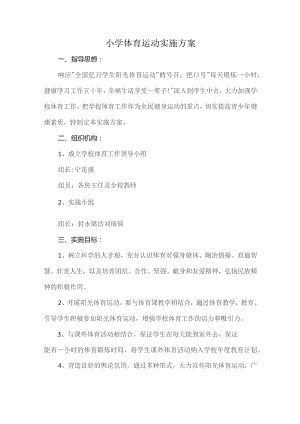 小学体育运动实施方案.docx