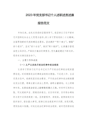 2023年党支部书记个人述职述责述廉报告范文.docx