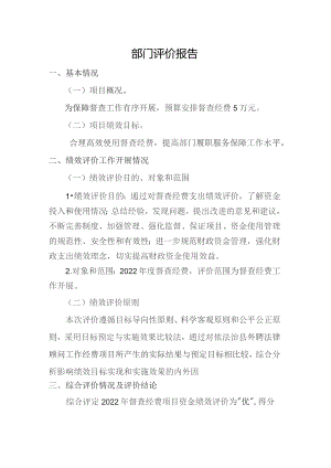 部门评价报告.docx