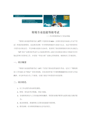 财税专业技能等级考试.docx