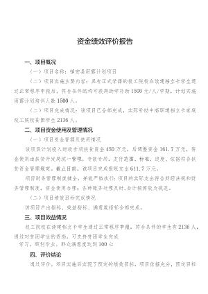 资金绩效评价报告.docx