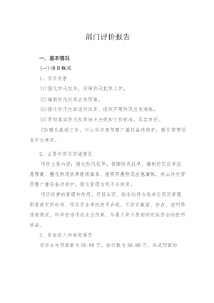 部门评价报告.docx