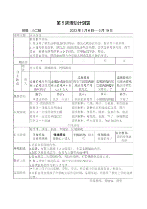 第5周活动计划表.docx