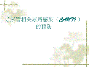 导尿管相关尿路感染.ppt