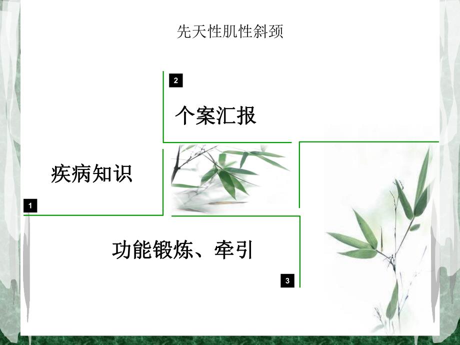 小儿先天性斜颈的护理1.ppt.ppt_第3页