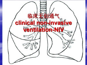 无创呼吸机使用..ppt