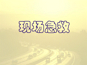 现场急救知识培训讲座PPT.ppt