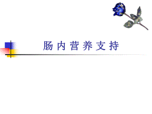 肠内营养支持.ppt.ppt