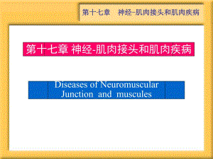 第17章重症肌无力 Microsoft PowerPoint 演示文稿.ppt