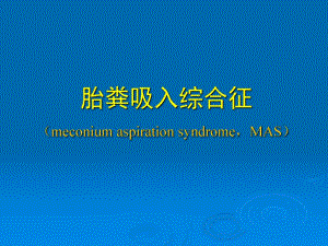 胎粪吸入综合征（精品ＰＰＴ） .ppt