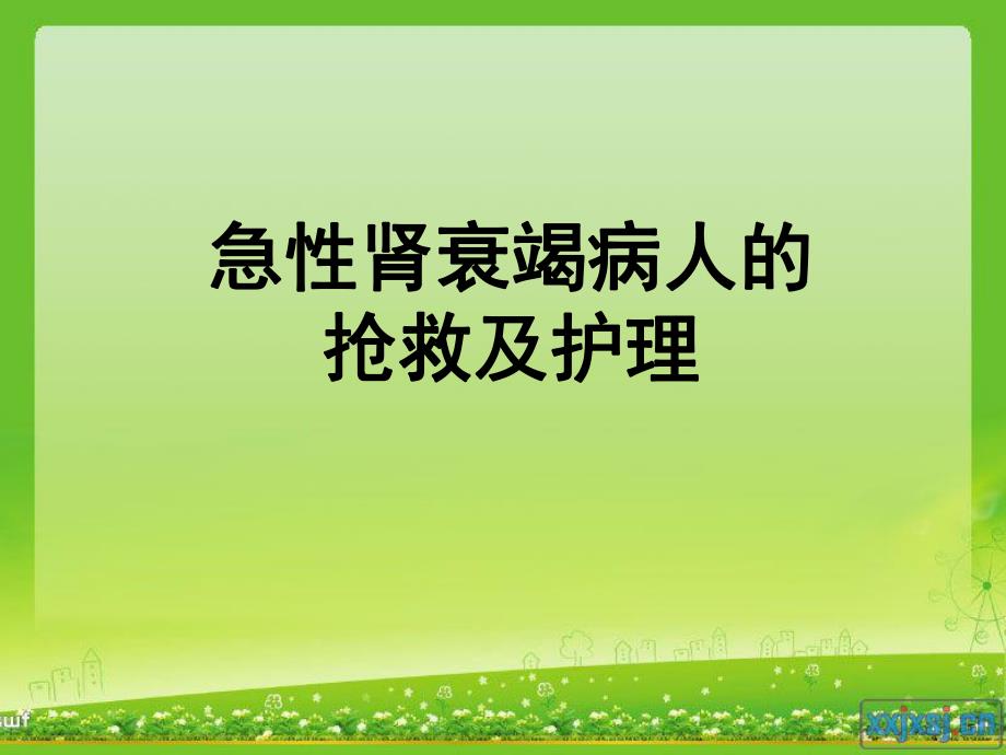 急性肾衰竭病人的抢救护理.ppt_第1页