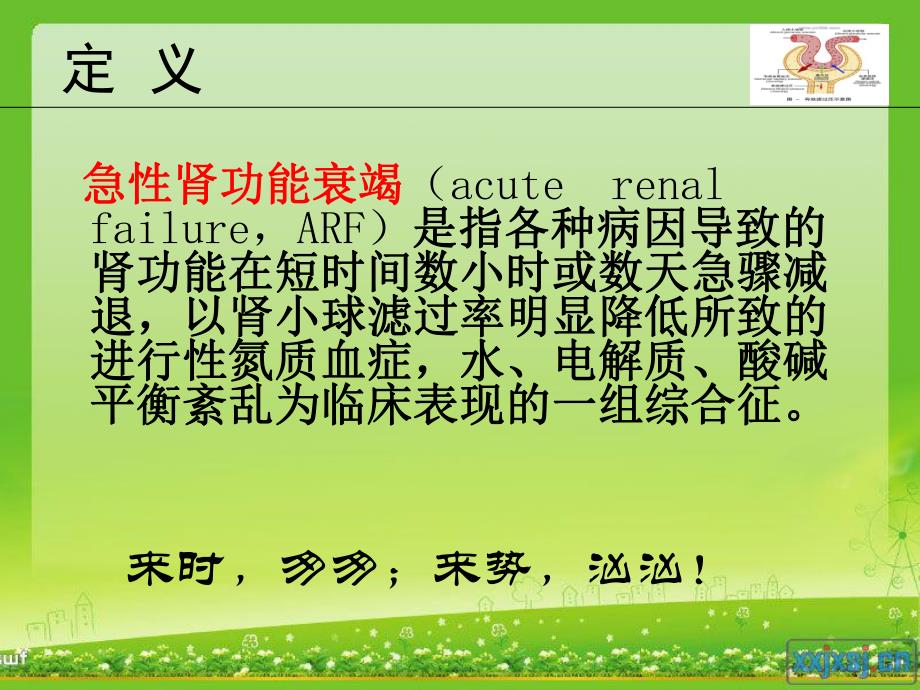 急性肾衰竭病人的抢救护理.ppt_第3页