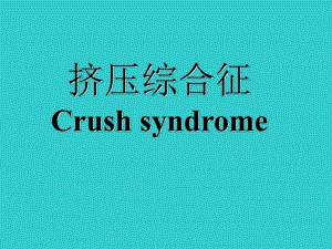 挤压综合征.ppt