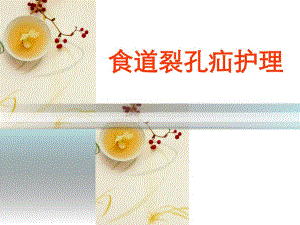 食道裂孔疝护理.ppt