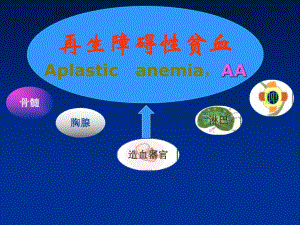 再生障碍性贫血.ppt