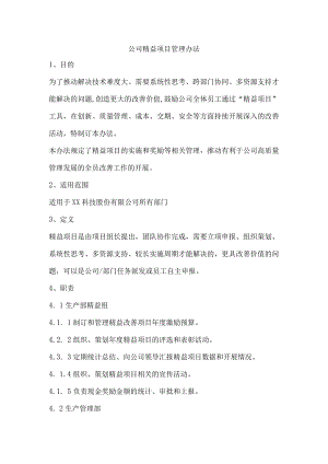 公司精益项目管理办法.docx