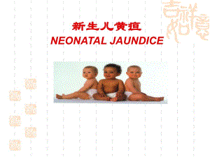 新生儿黄疸.ppt