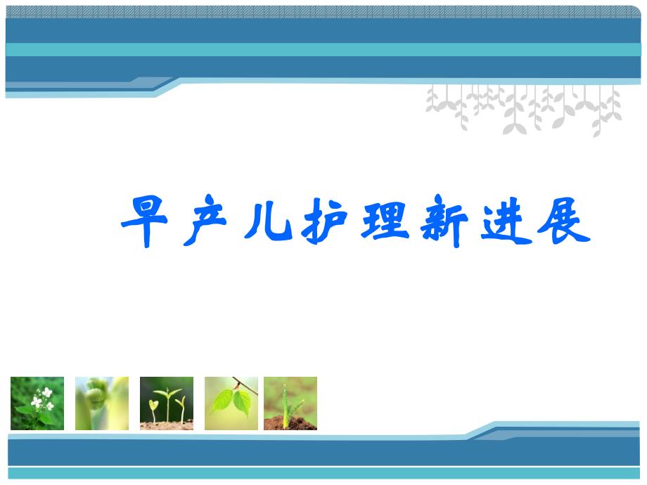 早产儿的早期护理.ppt_第1页
