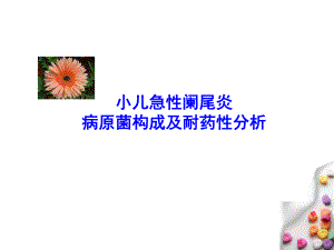 小儿急性阑尾炎病原菌构成及耐药性研究.ppt