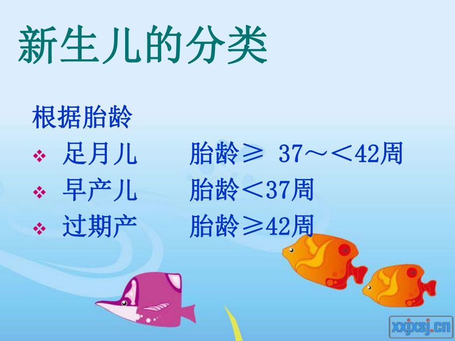 新生儿日常护理专题培训.ppt_第3页