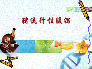 猪流行性腹泻病.ppt.ppt