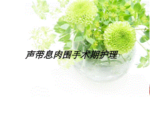 声带息肉手术患者的护理.ppt