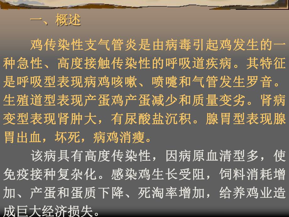 鸡传染性支气管炎.ppt_第2页