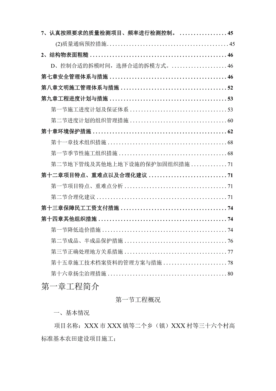 某村高标准基本农田建设项目施工组织设计.docx_第3页