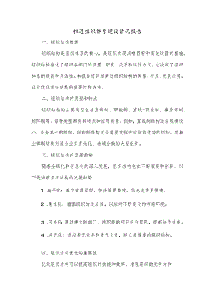 推进组织体系建设情况报告.docx
