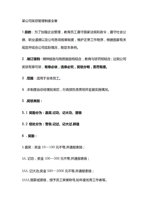 某公司奖惩管理制度全套.docx