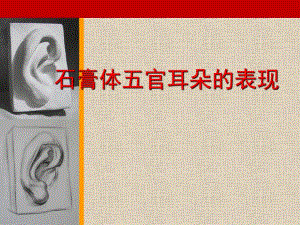 石膏体五官耳朵的表现.ppt.ppt