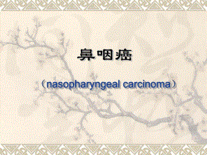 常见重要疾病防治鼻咽癌.ppt