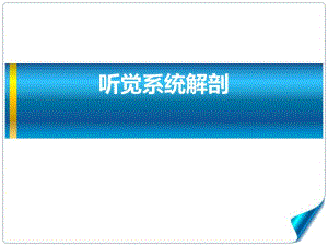 听觉系统解剖.ppt