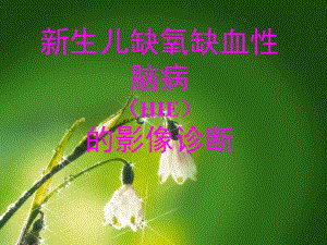 新生儿缺氧缺血性脑病的影像诊断.ppt